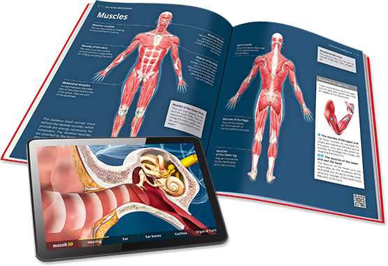 Libros inteligentes 3D