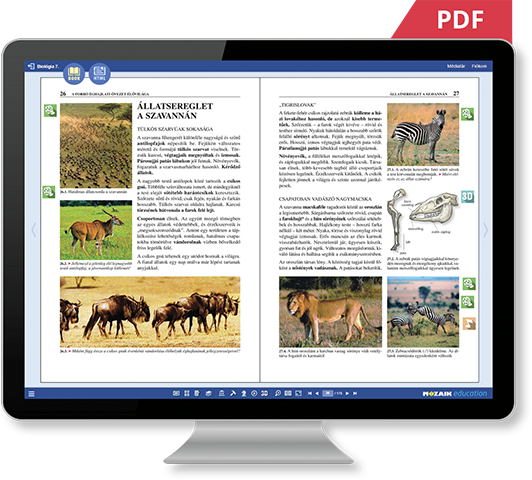 PDF or HTML