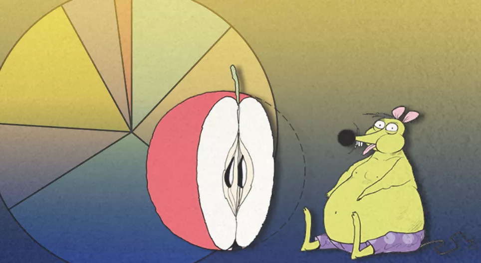 Percentages (revision)