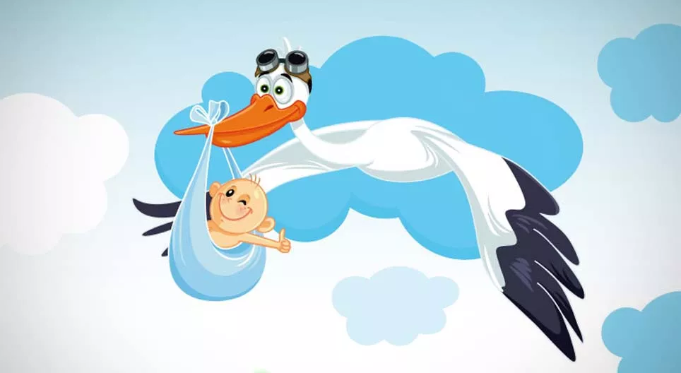 Do storks really deliver babies?
