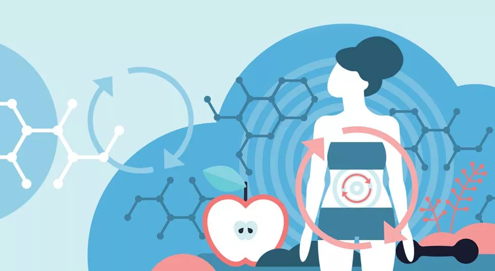 What is metabolism?