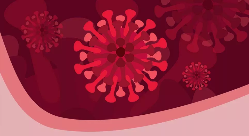 Things you should know about coronaviruses and COVID-19