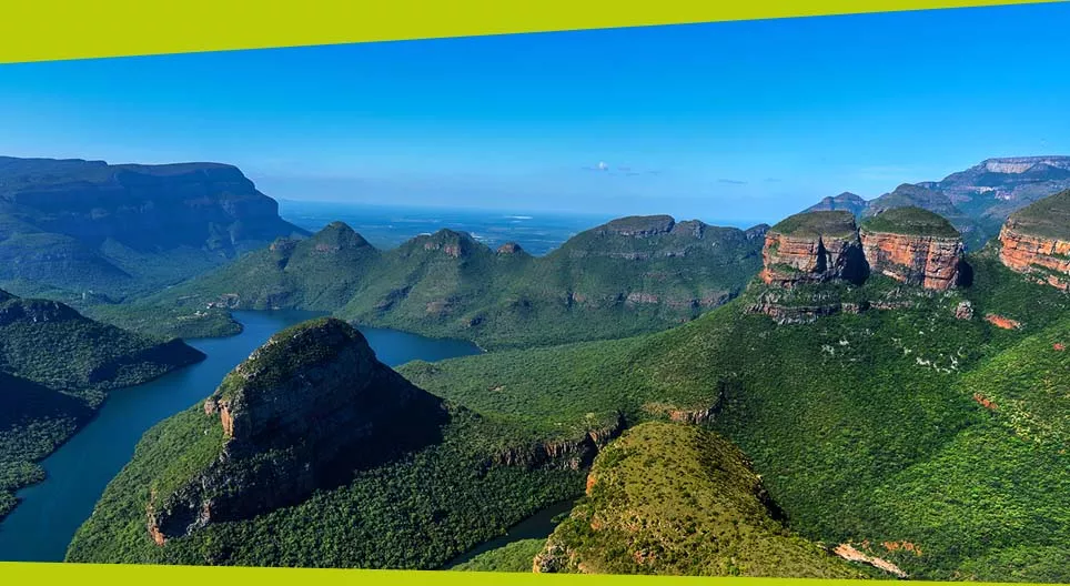 Creative destruction