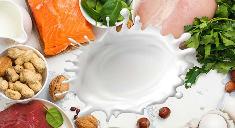 Proteins, the 'building blocks' of the human body Digital lessons