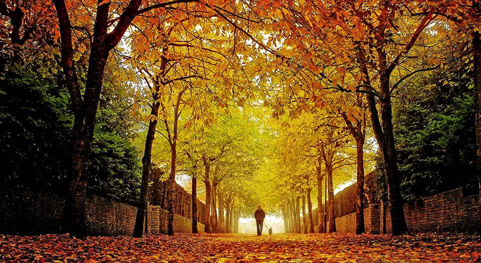 Autumn - Int. Ed.
