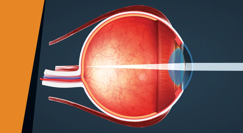 Blind spot