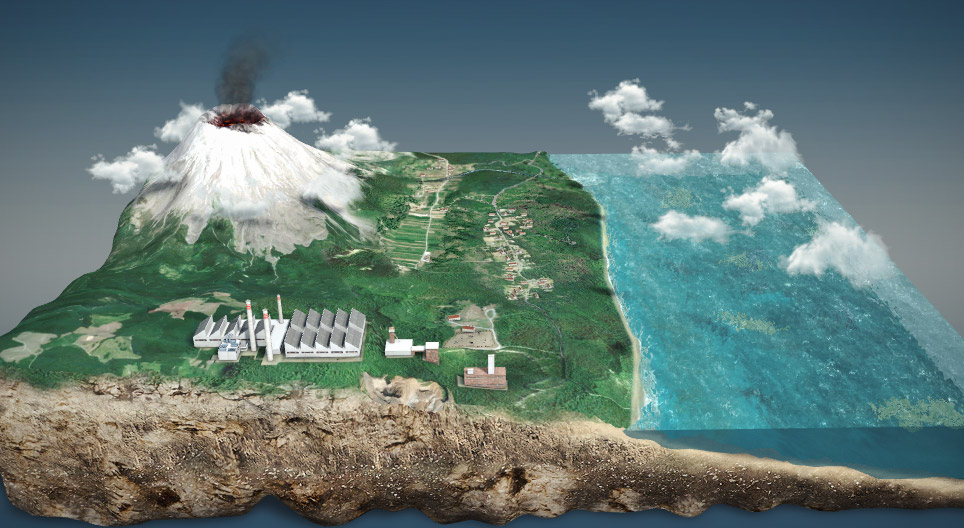 The phosphorus cycle