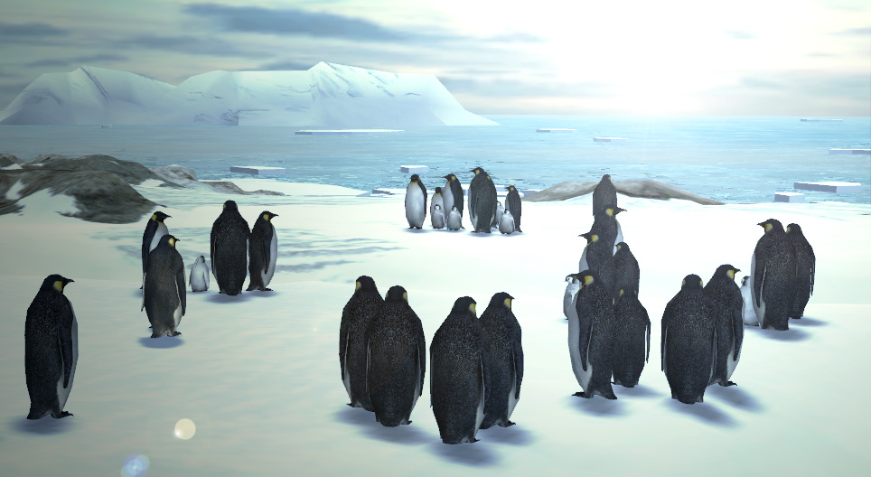 Emperor penguin