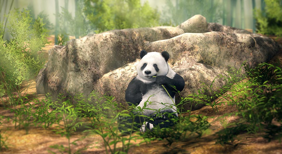 Giant panda