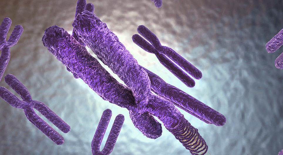 Organization of genetic material