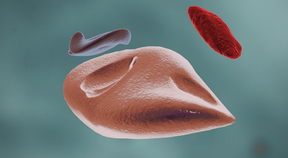 Enzymes