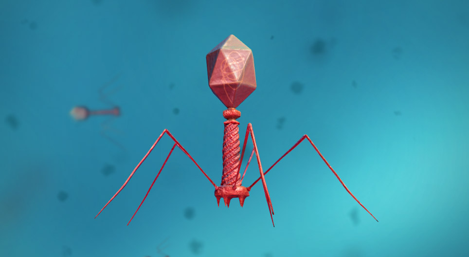 Viruses