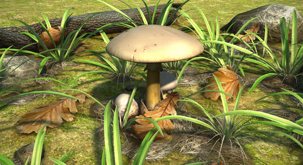 Mushrooms