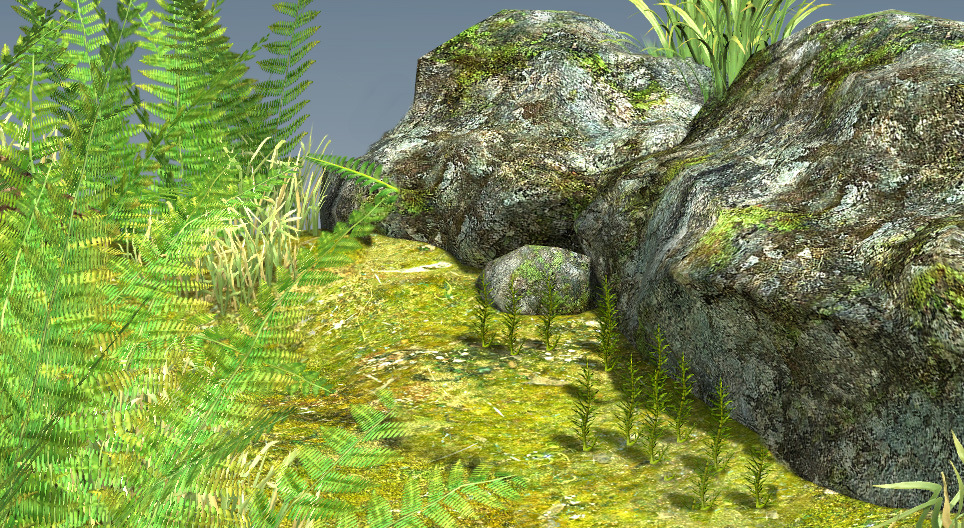 Life cycle of mosses and ferns