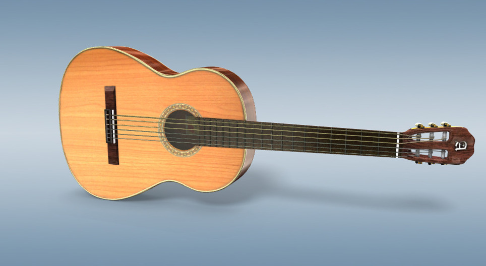 Guitar