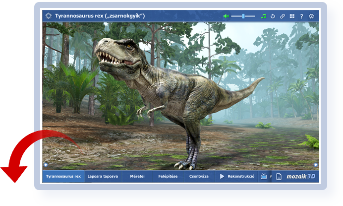 Su uso en presentaciones