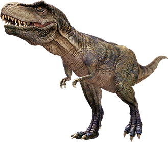 Su uso en presentaciones