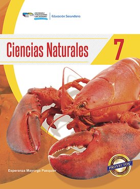 Book NI-SJR-CIE07-4846