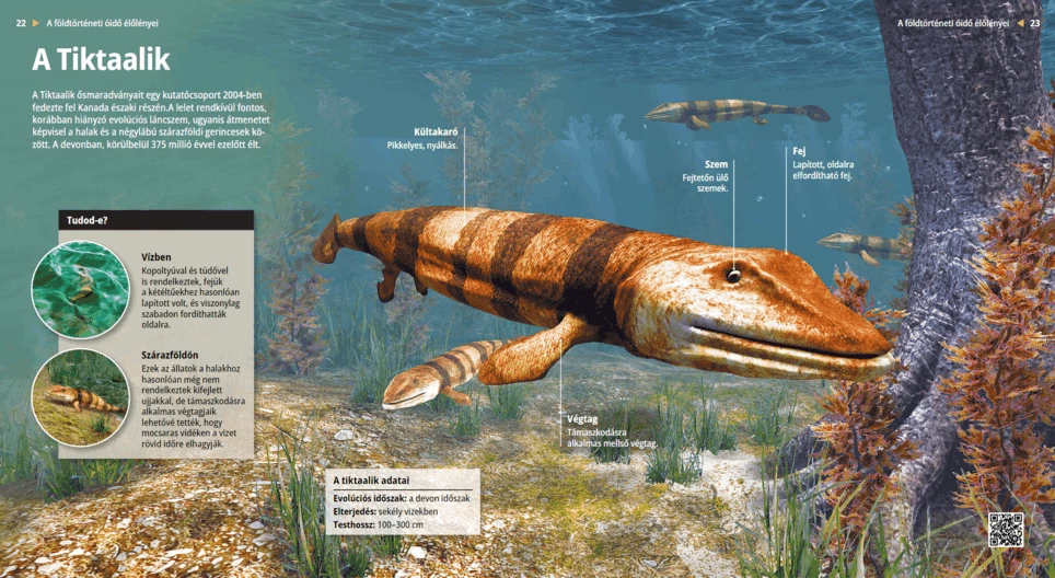 Los Tiktaalik