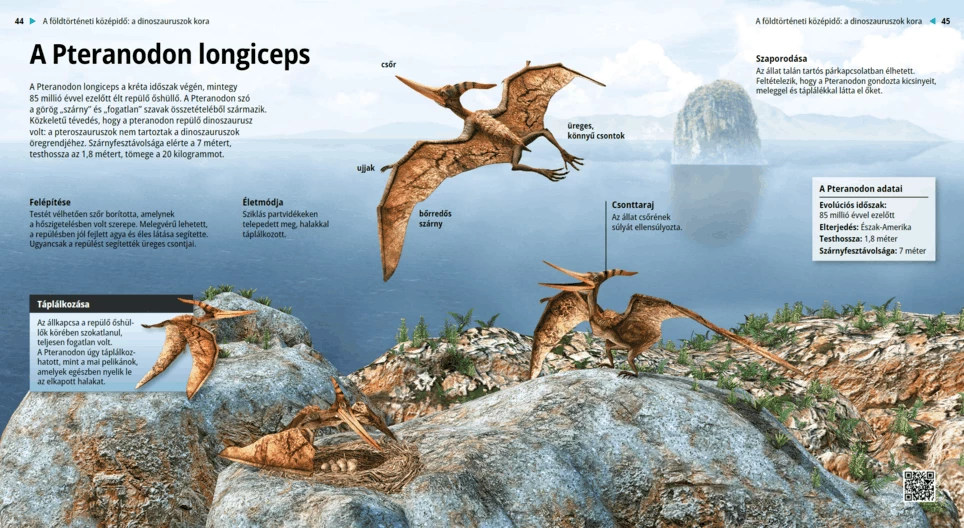 El Pteranodon longiceps