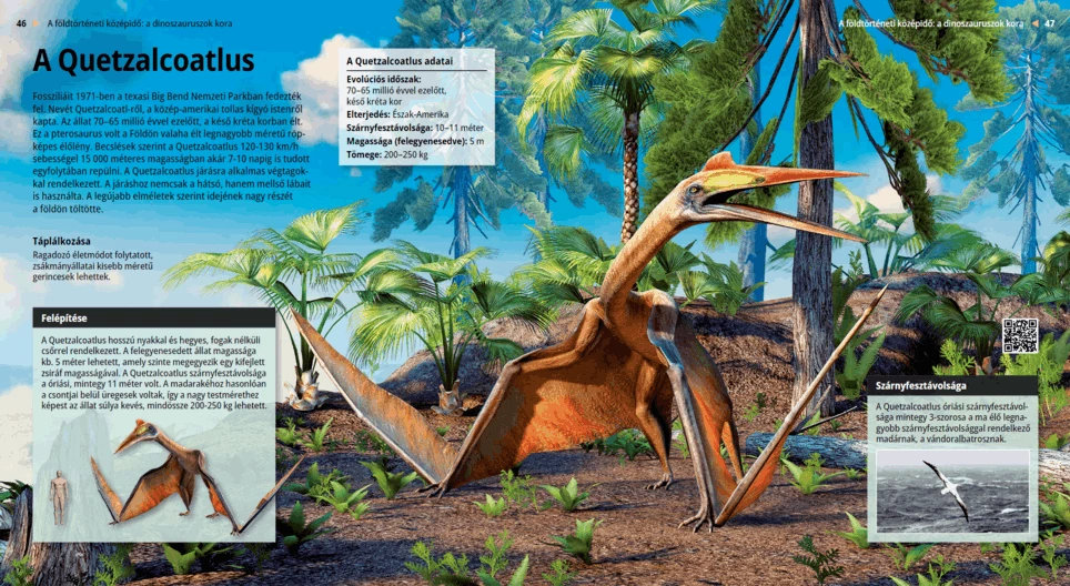Los Quetzalcoatlus