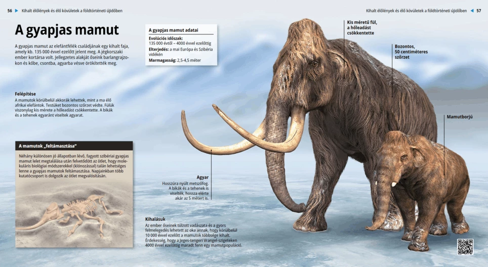 El mamut lanudo