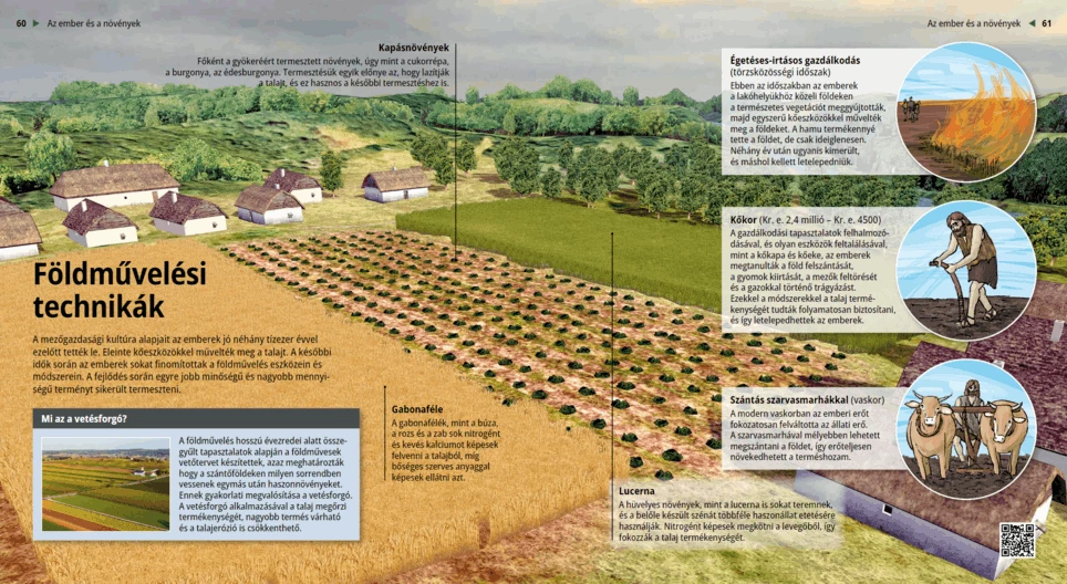 Las técnicas agrícolas