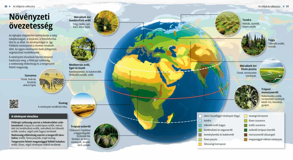 Las zonas de vegetación