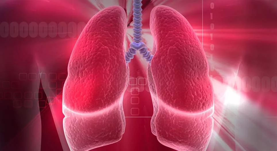 10 cosas que deberías saber sobre el sistema respiratorio humano