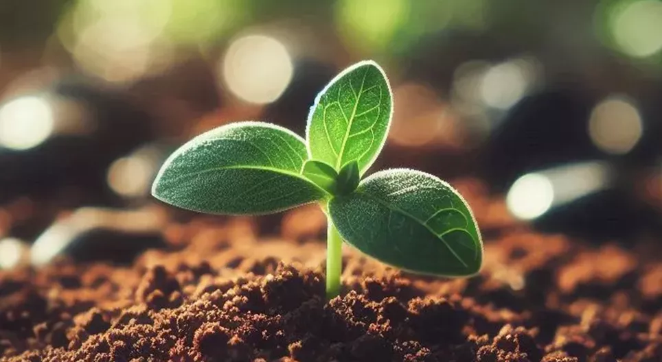 La agricultura sostenible