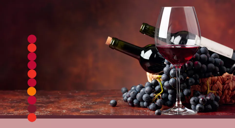 ¿Cómo se transforman las uvas en vino?