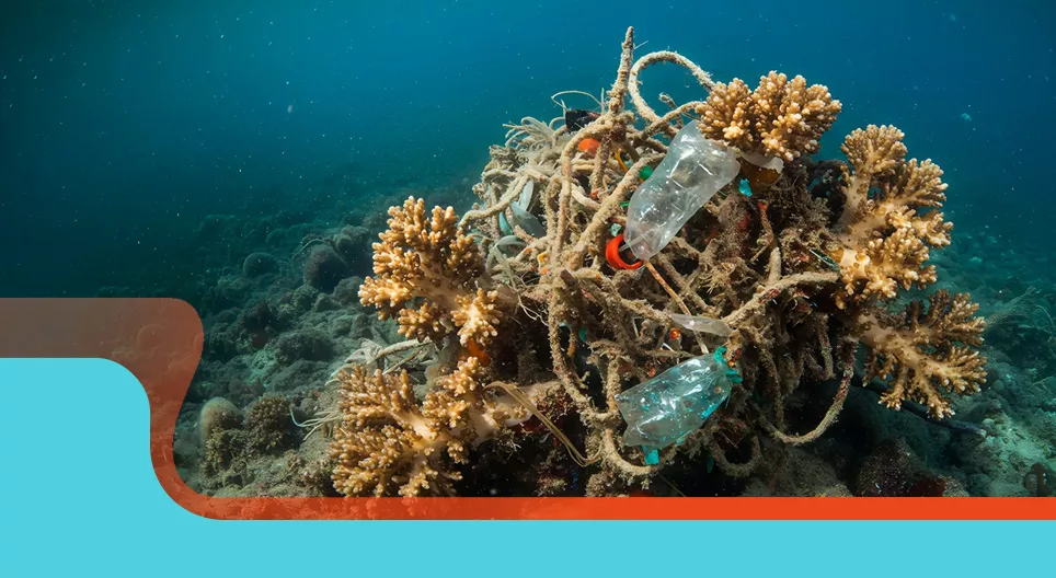 Conciencia ambiental