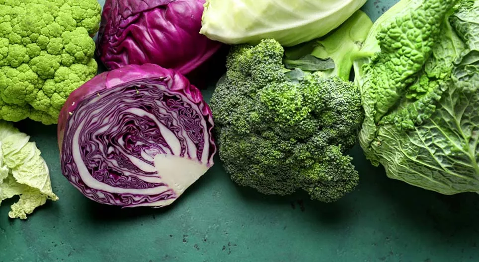 La familia de la col