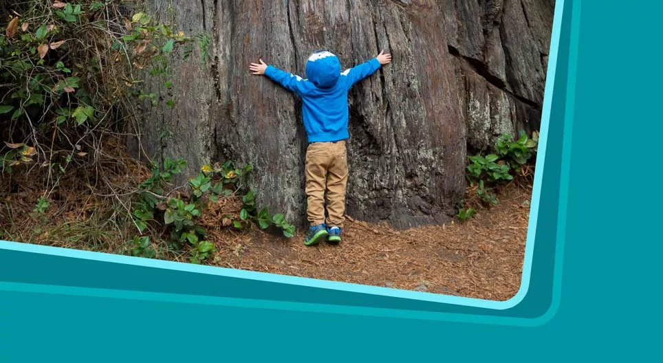 Lo maravilloso que es el mundo