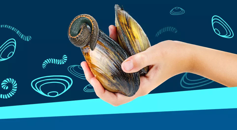 En el fondo de los lagos