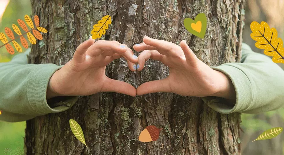 El ecosistema de los bosques