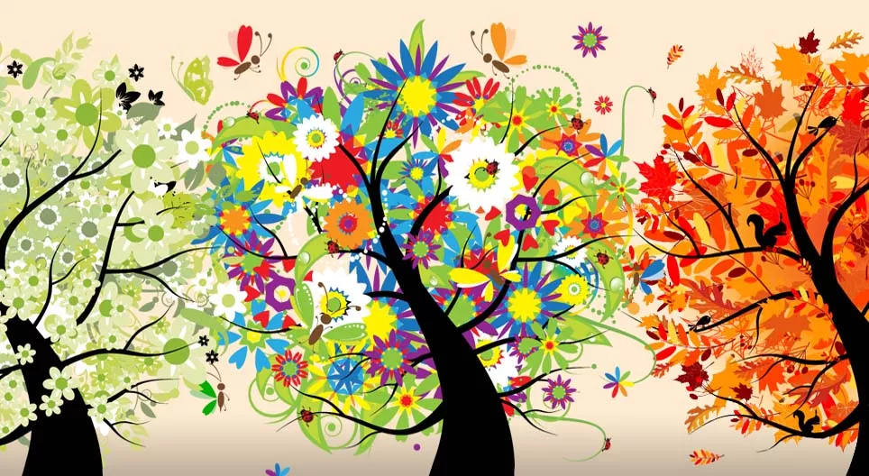 ¿Qué son las estaciones del año?