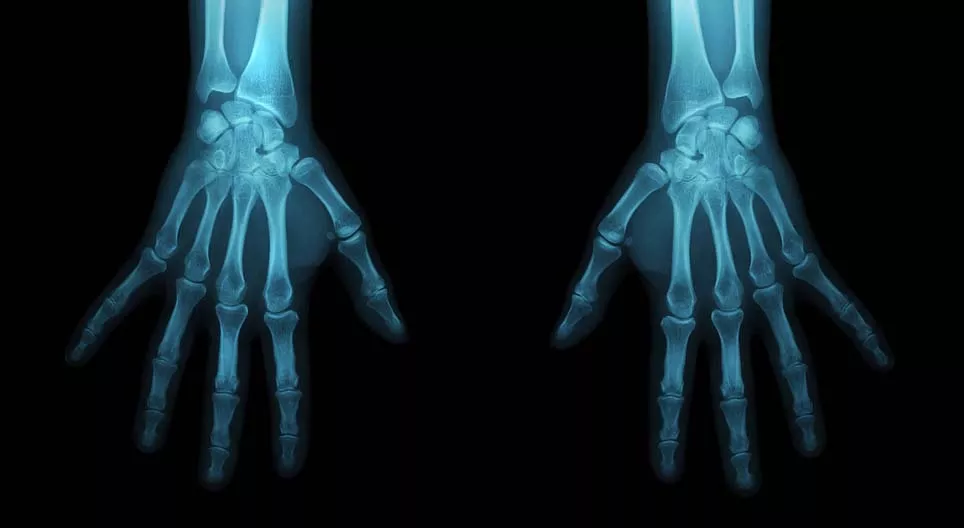 ¡Conviértete en un antropólogo forense!