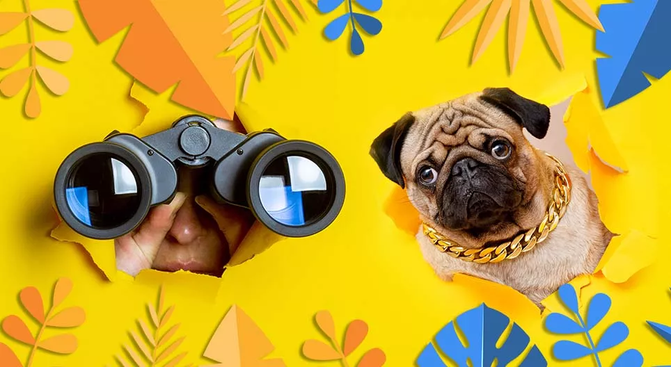 ¿Ves lo que yo veo?