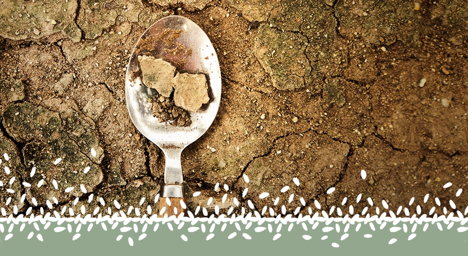 Crisis alimentaria global