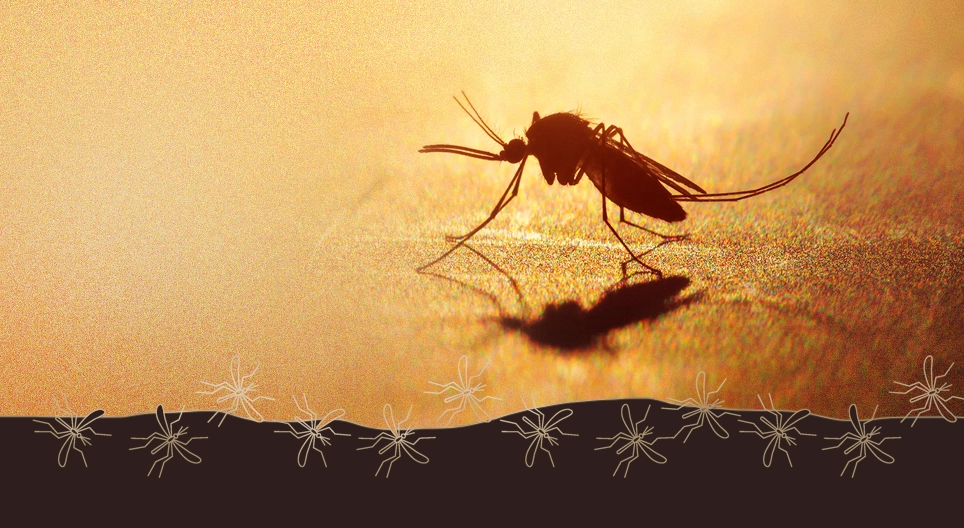 La malaria