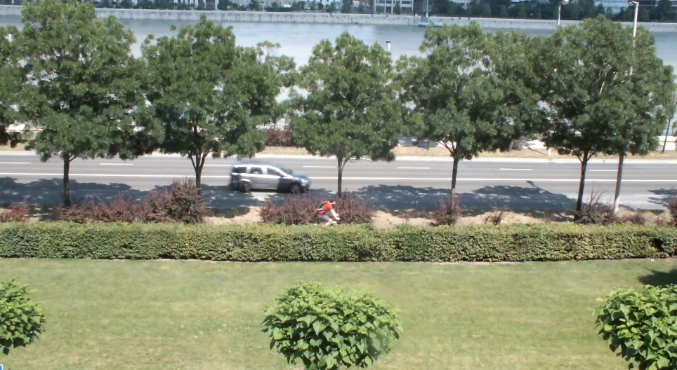 Uniform motion of a bicycle along a straight line