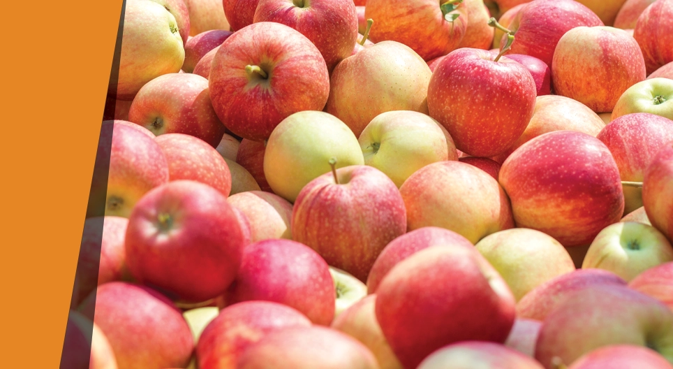 La manzana que huele a almendra