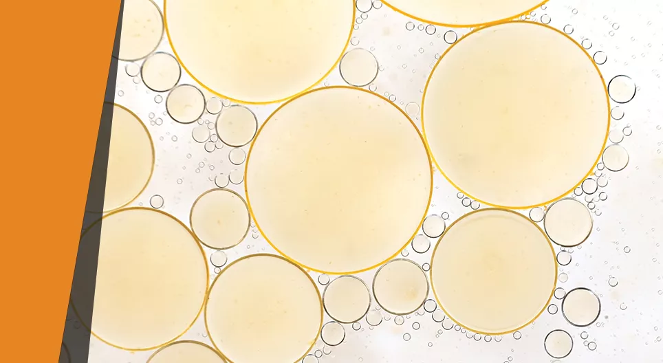 Grasa que desaparece