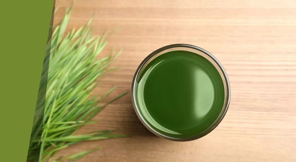 Los secretos de la sopa de hierbas