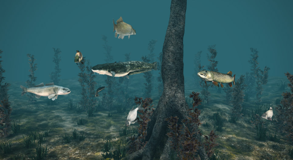 Peces de agua dulce
