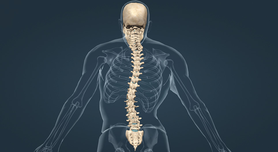 Condiciones médicas de la columna vertebral