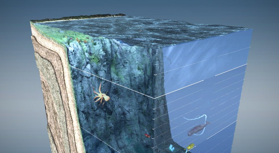 Las capas del océano