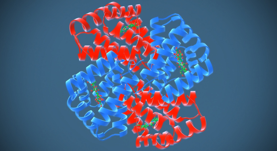 La estructura de las proteínas