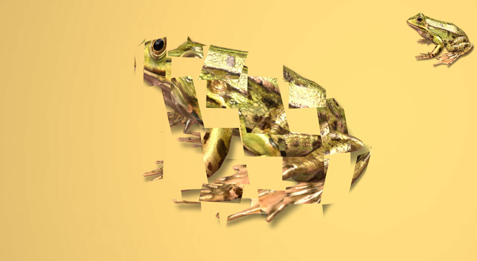 Juego de rotación 3D